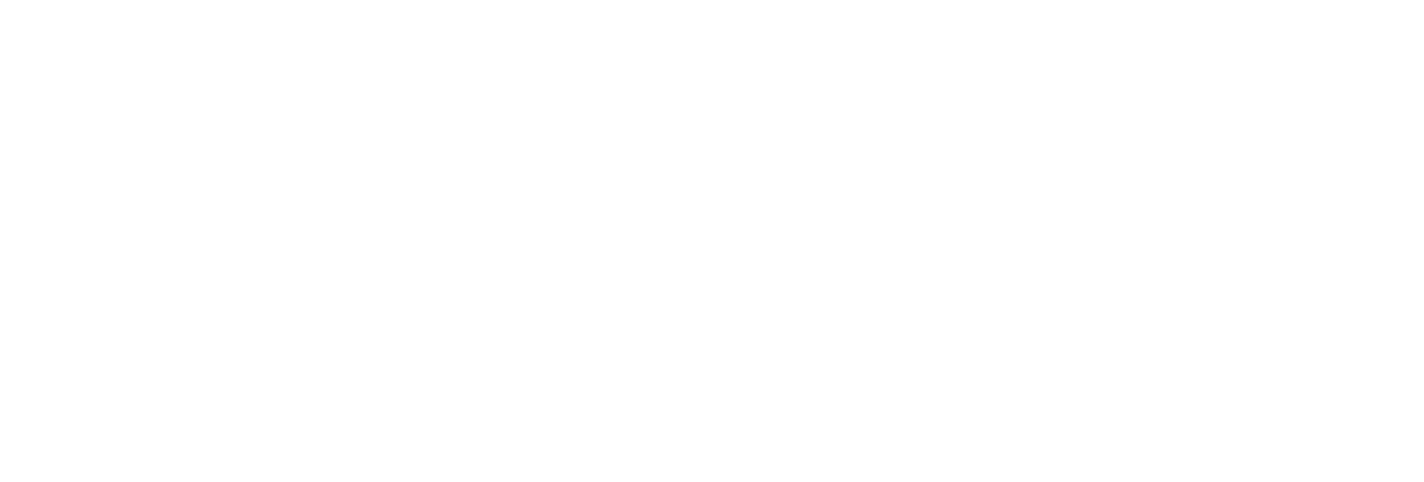 Logo Zahnoptik Footer